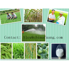 Agricultural Chemicals Agrochemical Systemic Fungicide 50% Wp Watable Powder Carbendazim